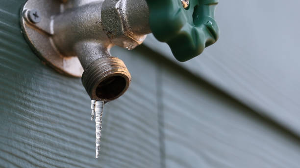 Best Clogged Drain Plumber  in St Paul Park, MN