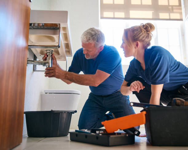 Best Water Softener Installation  in St Paul Park, MN